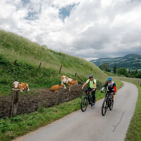 Kek-haz Centrum Daire *